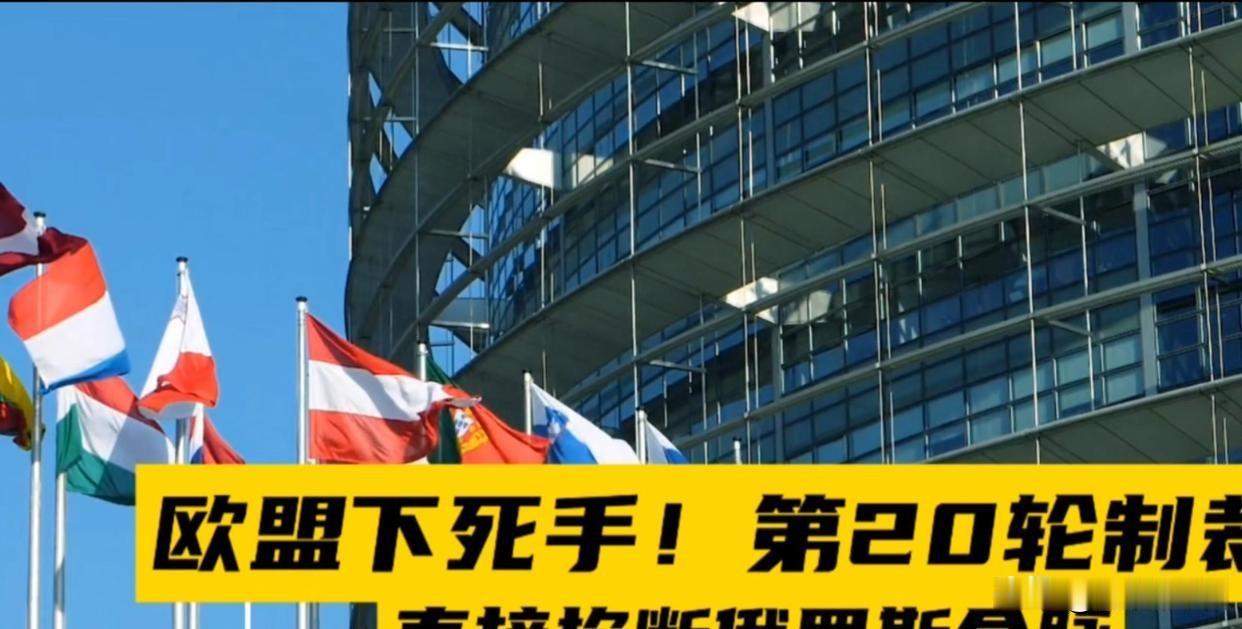 欧盟制裁俄20轮无果求谈判，俄罗斯强硬回绝！

来源:思考缓存区

如果真的有人