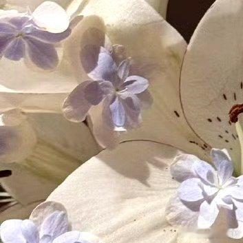 每日一善‎每日一善 ‎阳光‎信用 善是一种自然的流露,没有一点造作,没有一点企求