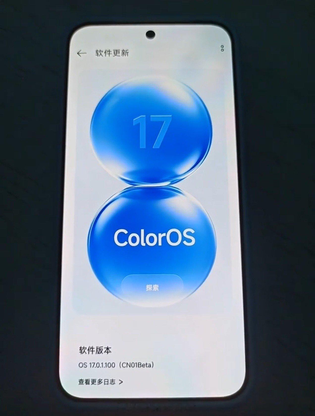 要么都是假的，要么里面混了一个真的 