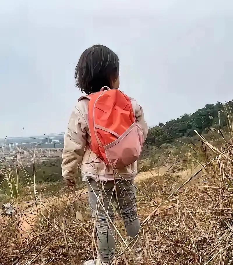 泪目！小彤彤和她的“忠实伙伴”：6公里的坚强与孤独

你能想象吗？一个小小年纪的