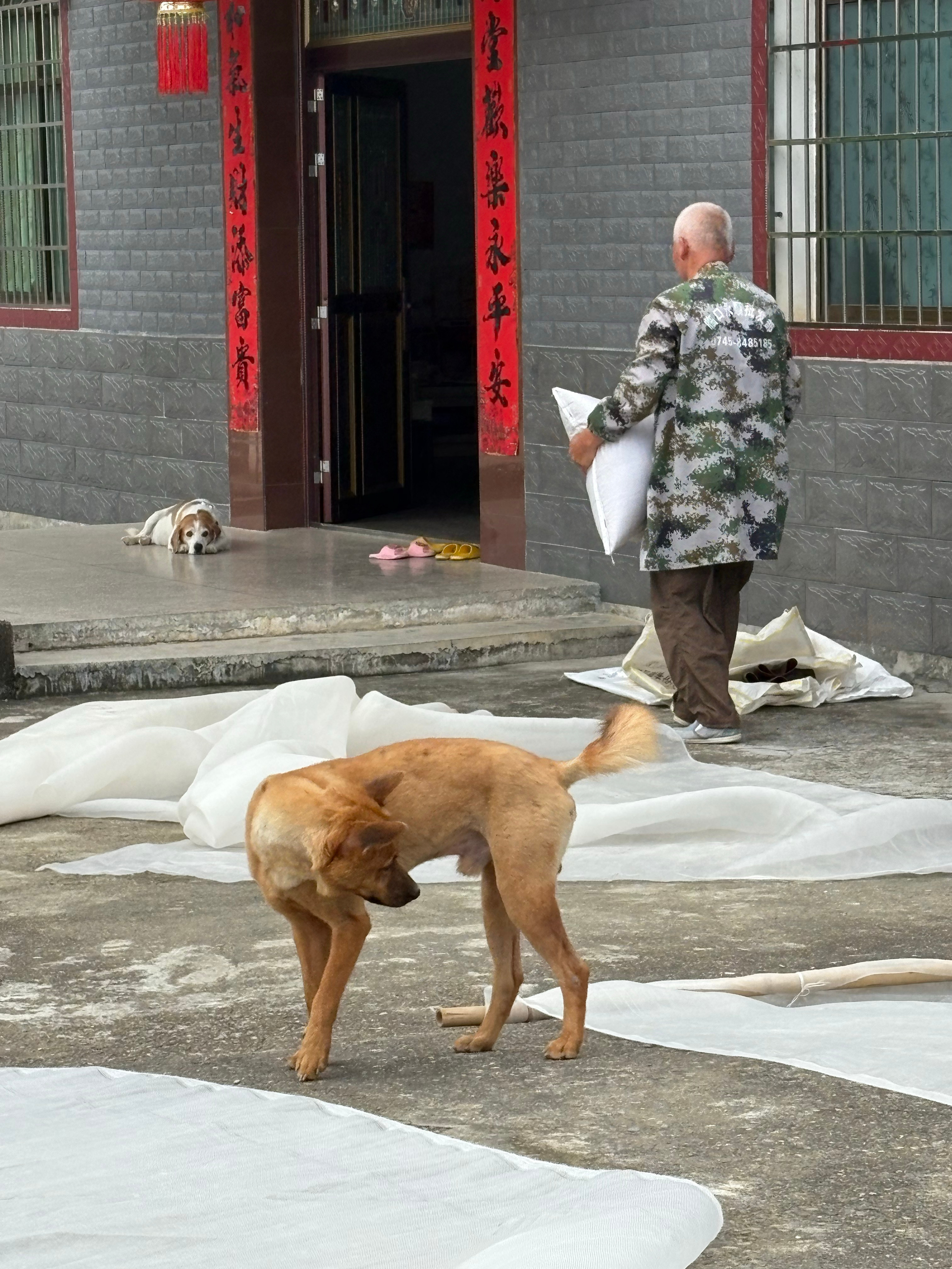 到他门口占地盘他一动不动[允悲] ​​​