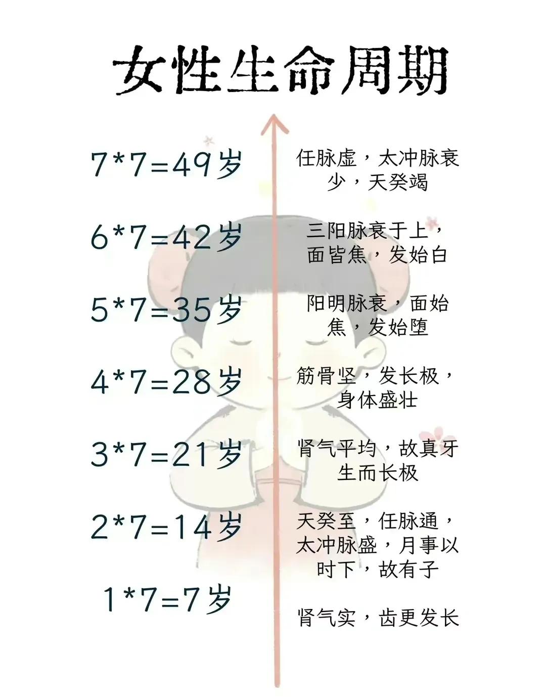 【女性生命周期】