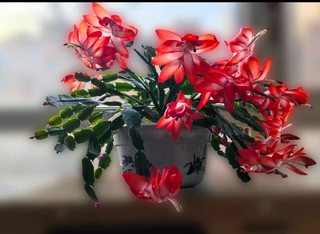 中日关系遇冷韩总统趁机高规格访华东亚三国演义，韩国占据有利，主动高规格访华，还要