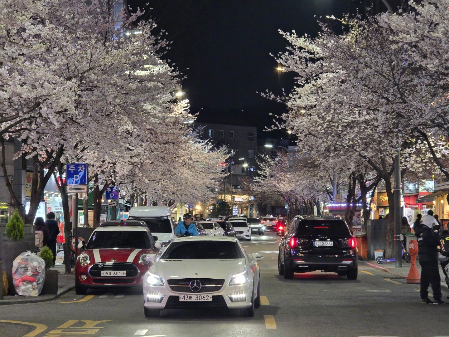 又到一年樱花季~~ 