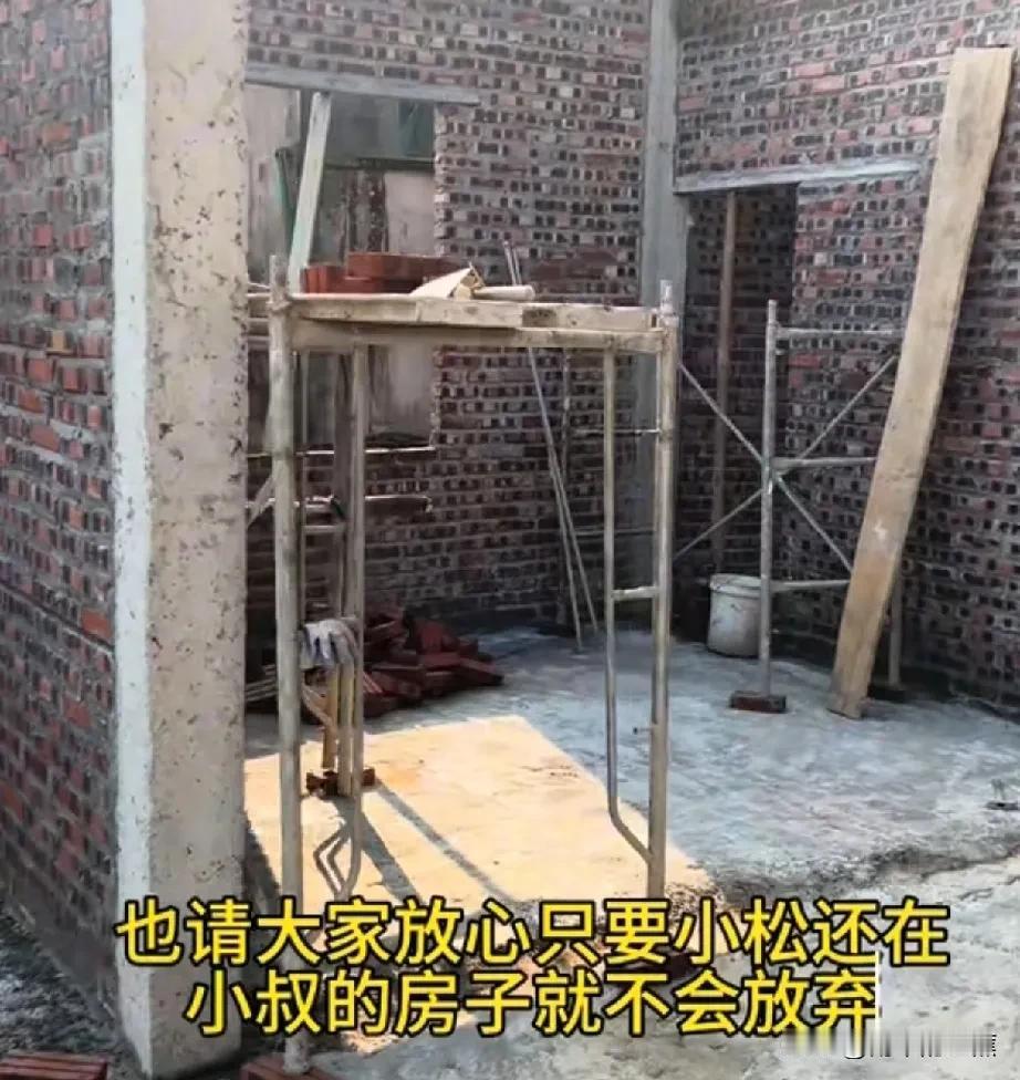 今晚，小松的账号更新了越南小叔房子建造的情况。目前，房子已经建一半了，小松遗憾自