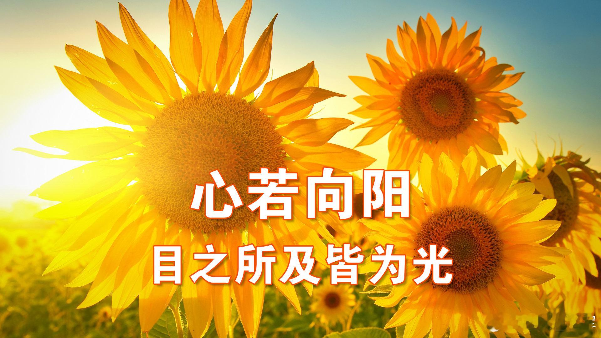 内在的生活，是最值得一过的生活我们身处一个竞争激烈的时代，大家都想成功，都不愿意