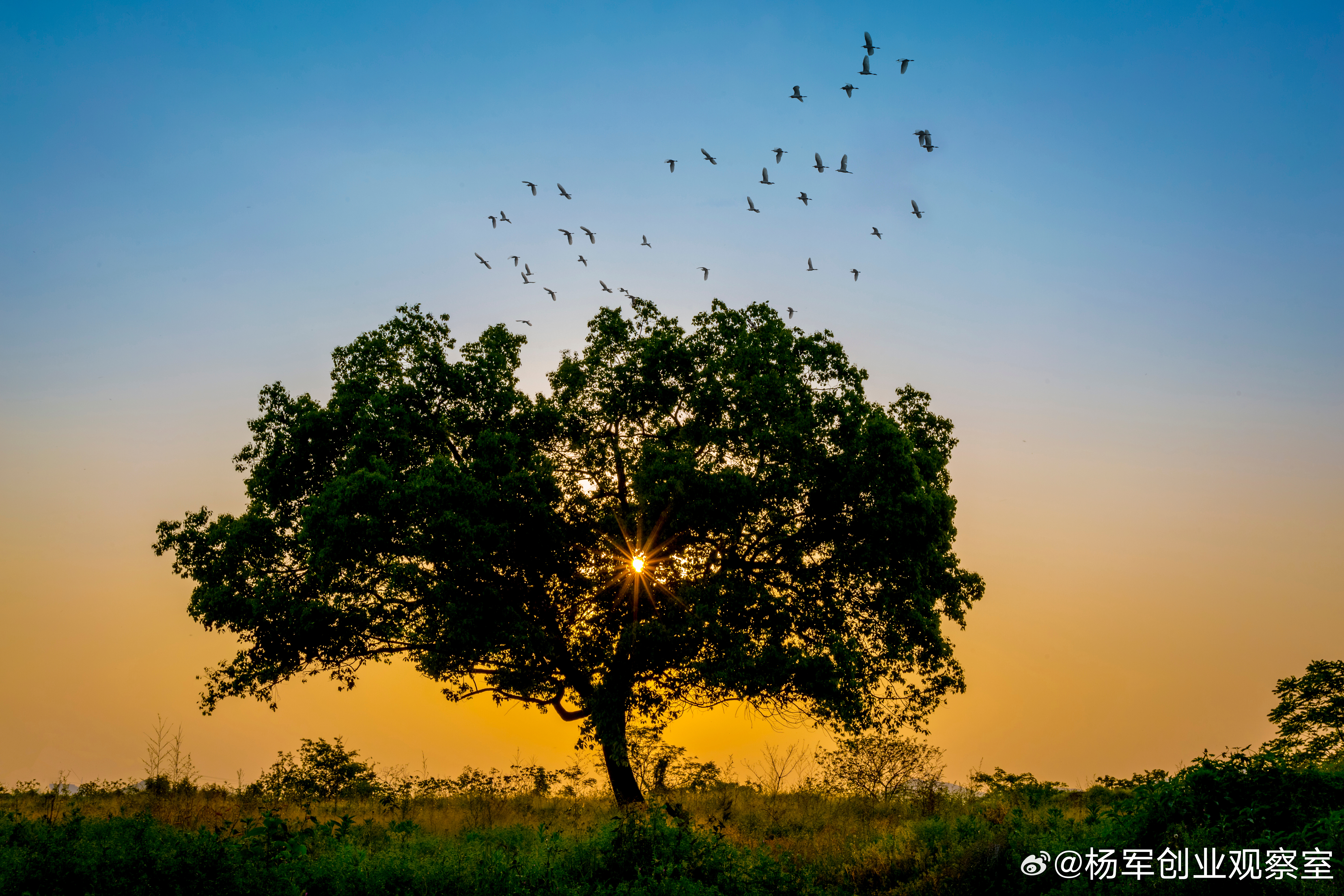 投后管理一般有三种模式，一是小型机构投前投后全承包投后由专门的投后部门来负责，还