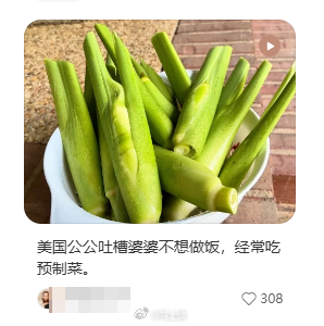 嫁给老外当厨娘的女子，还借着美国公公之口贬损婆婆…开始她对自己的身份认知甘之如饴