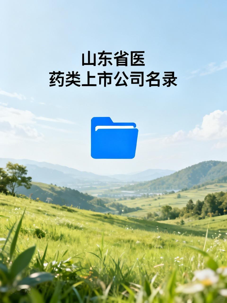 山东省境内医药类上市公司完整名录
 
一、化学制药（A股）
 
1. 新华制药 
