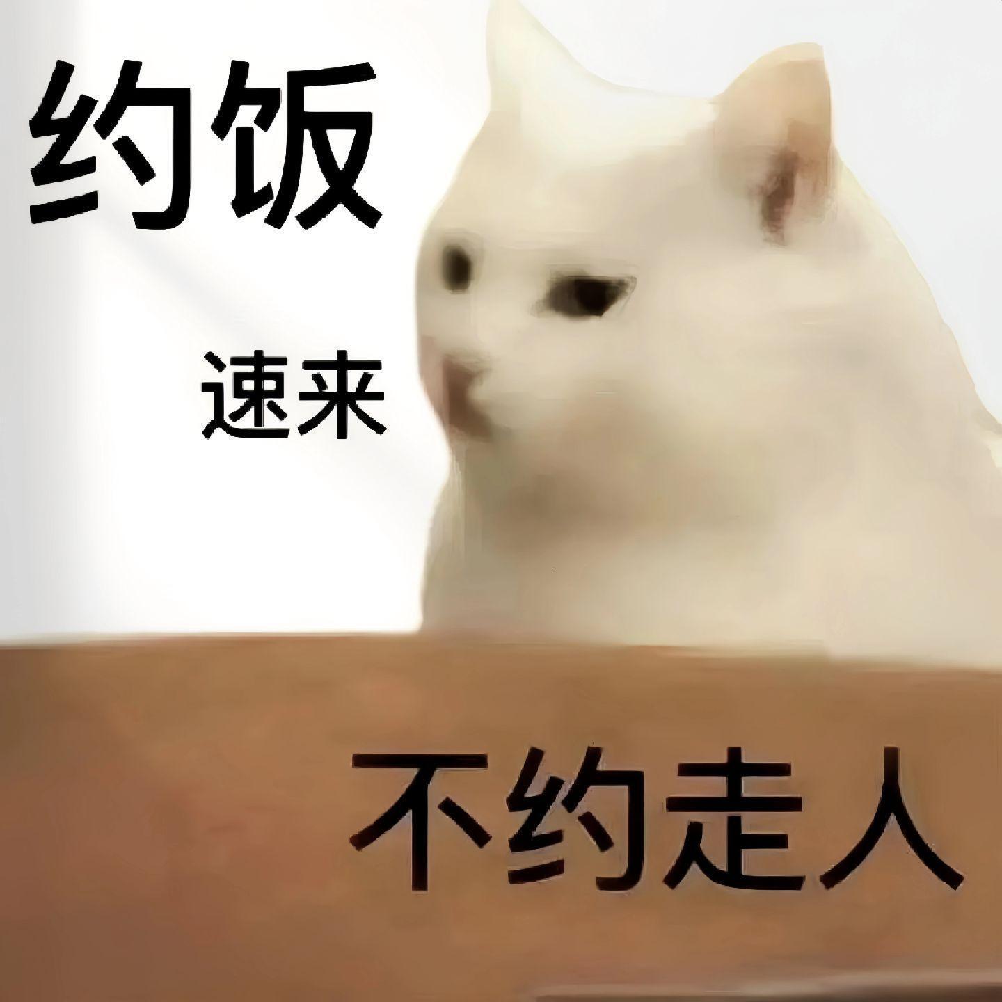 超搞笑的聊天表情包来啦～艾特你想艾特的人 