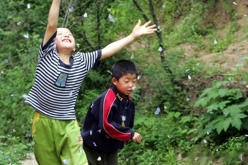 看到“花中蝴蝶花中舞”这个上联，瞬间就觉得画面感十足，一只灵动的蝴蝶在花丛中自在