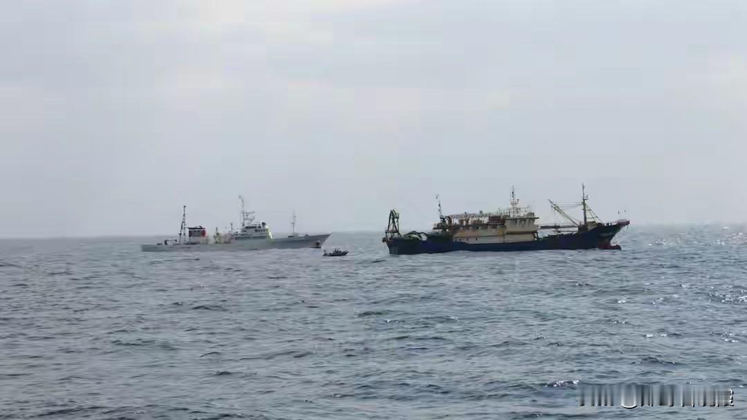 提交担保后，日本同意放人，外交部斩钉截铁，高市早苗情况不妙