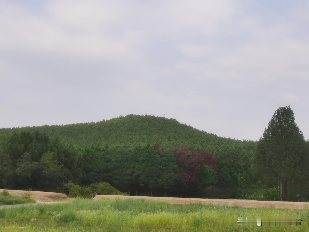 虽然是始皇，但其陵墓搞成一座山，还是过了，秦之短命或缘于此。