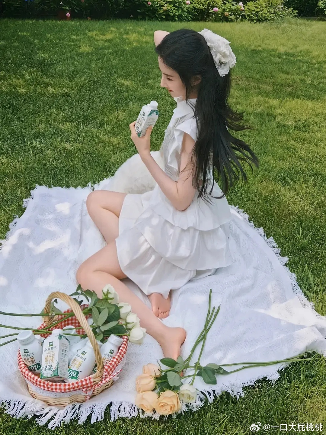 会像捧花一样大出圈的壁纸 