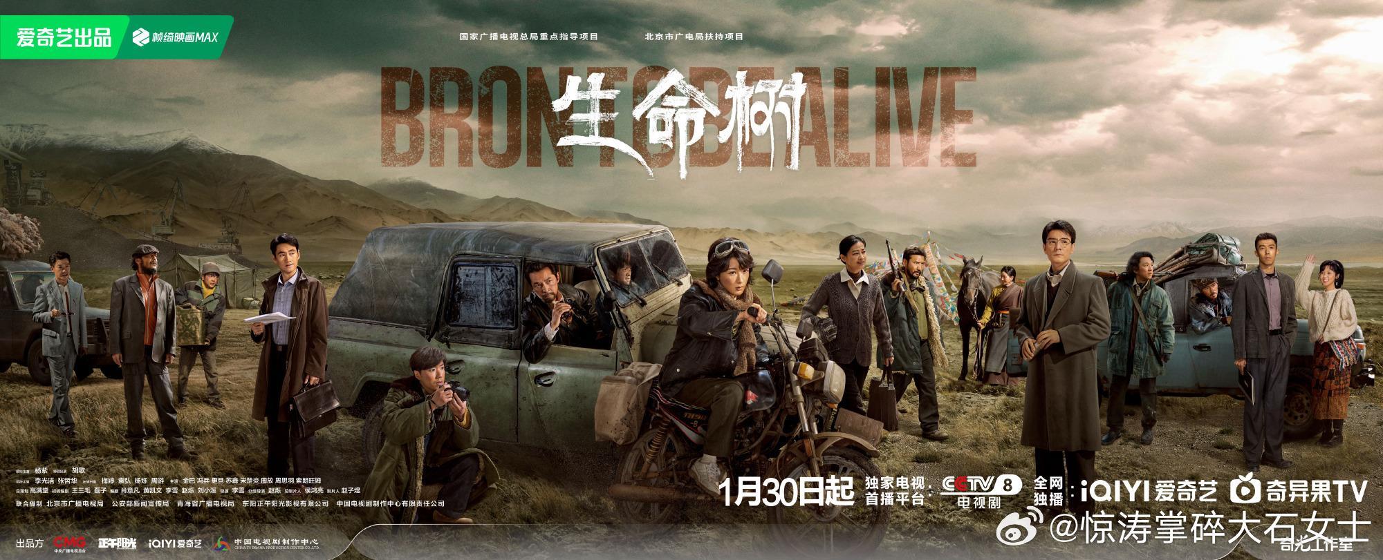 2026第一批重点作品版权保护预警名单杨紫赵丽颖新剧被列入重点作品版权保护名单看