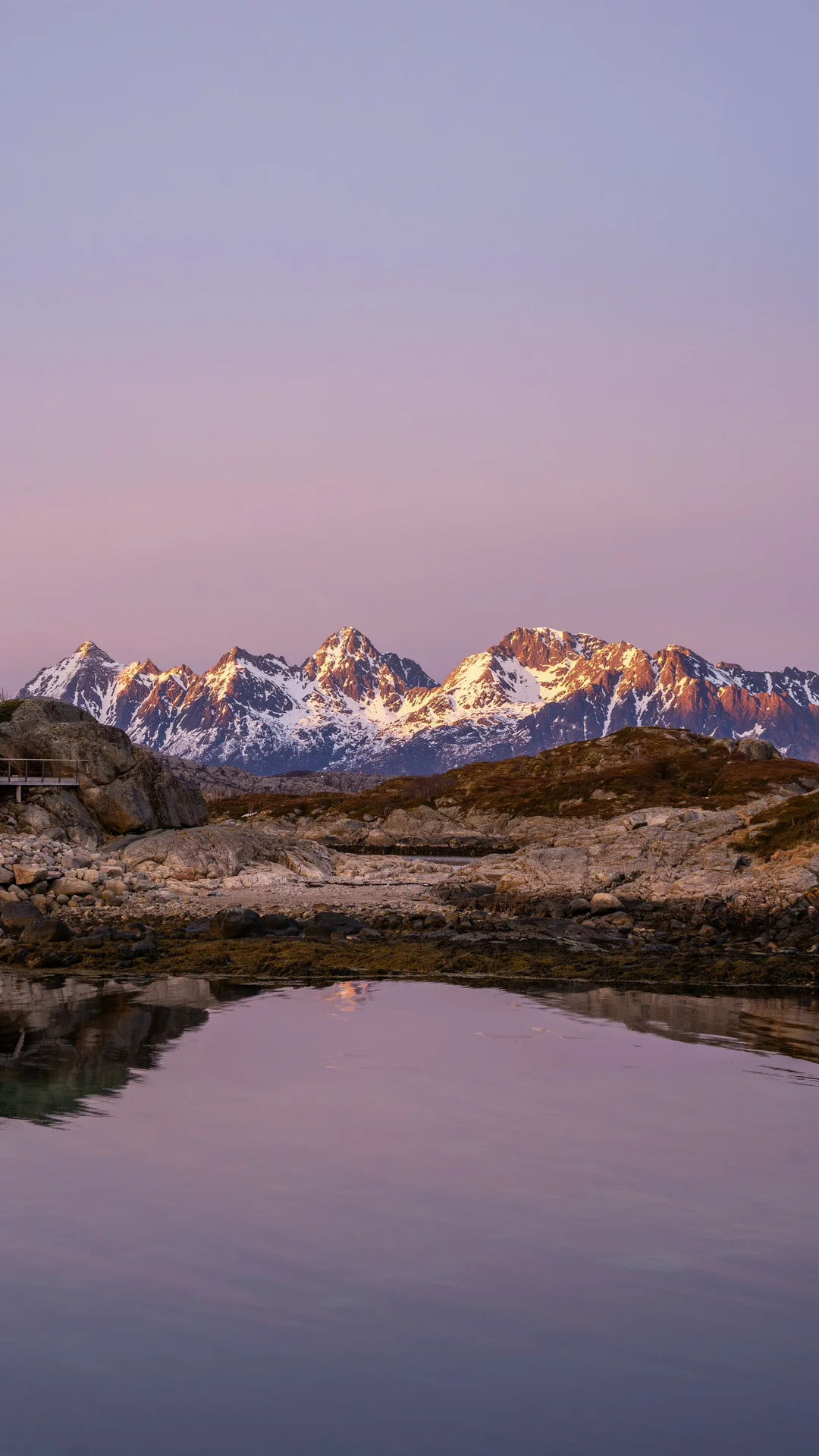 试试不加tag会把这些长屏图推给哪些MBTI