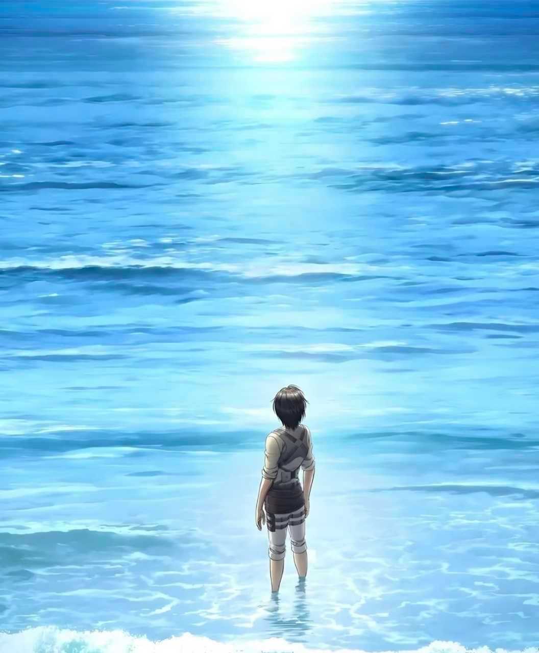 2525每日一琳