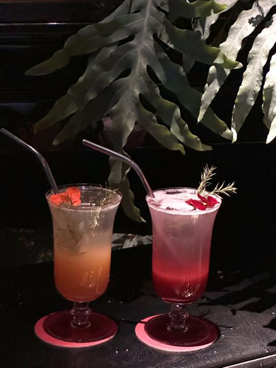爆藏小南门！一家“春日限定”酒吧！！