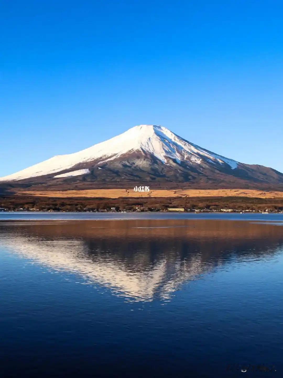 春节去日本“旅个游”，说起来还挺兴奋的。不去日本会死吗，真是不作死就不会死。国家