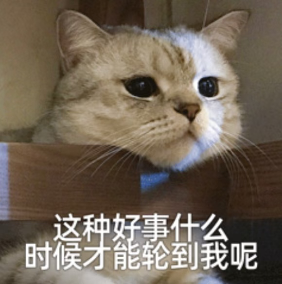 找拼狗粮搭子遇到了神仙富婆姐姐看完直接酸成柠檬精，拼单拼出这种奇遇也太幸运了。不