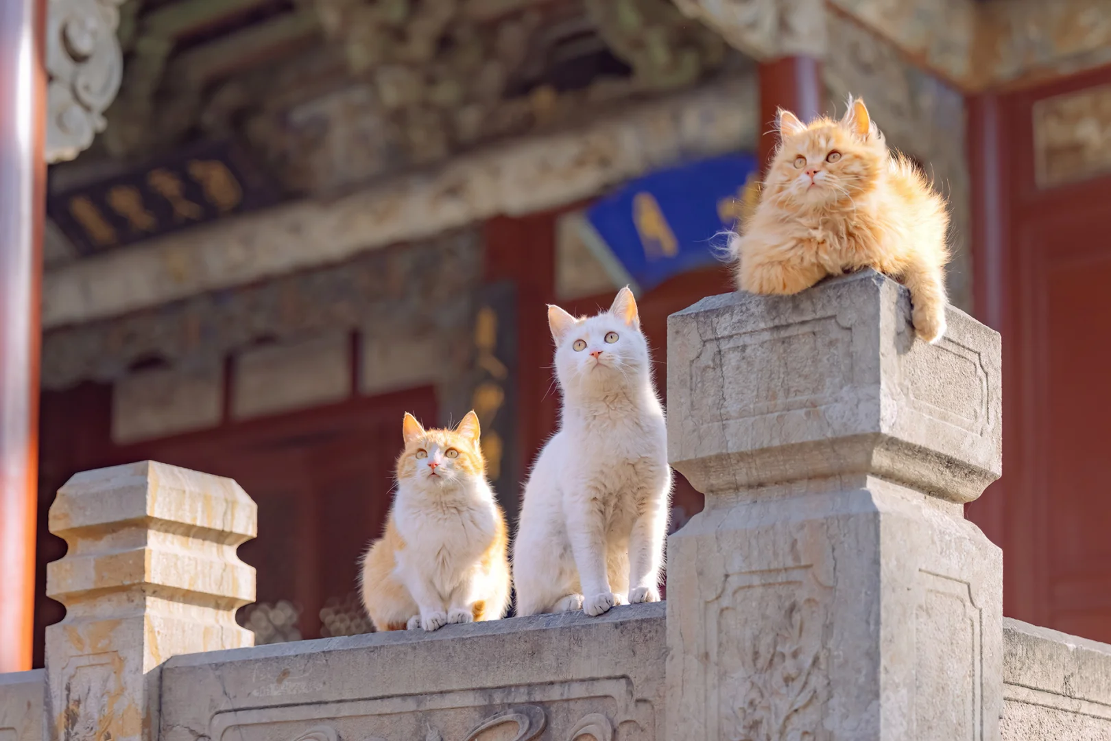 晋中三杰