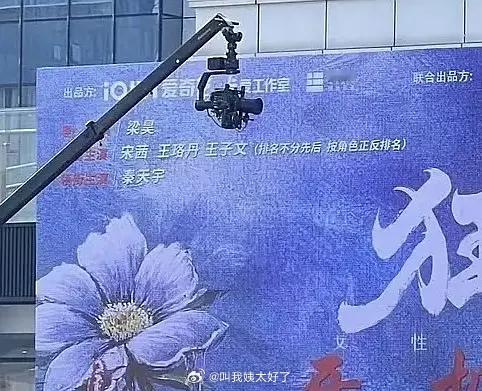 宋茜、王珞丹、王子文的《狂花》排名方式是按角色正反排的。们内娱还有多少种番位排序