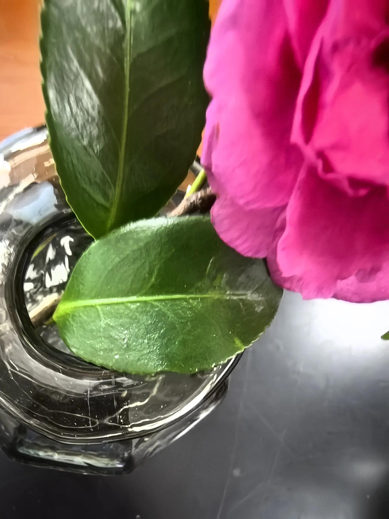 知道为啥赌博会上瘾了吧？因为赌博分泌的“荷尔蒙”更多！让人更兴奋，更上头！[捂脸