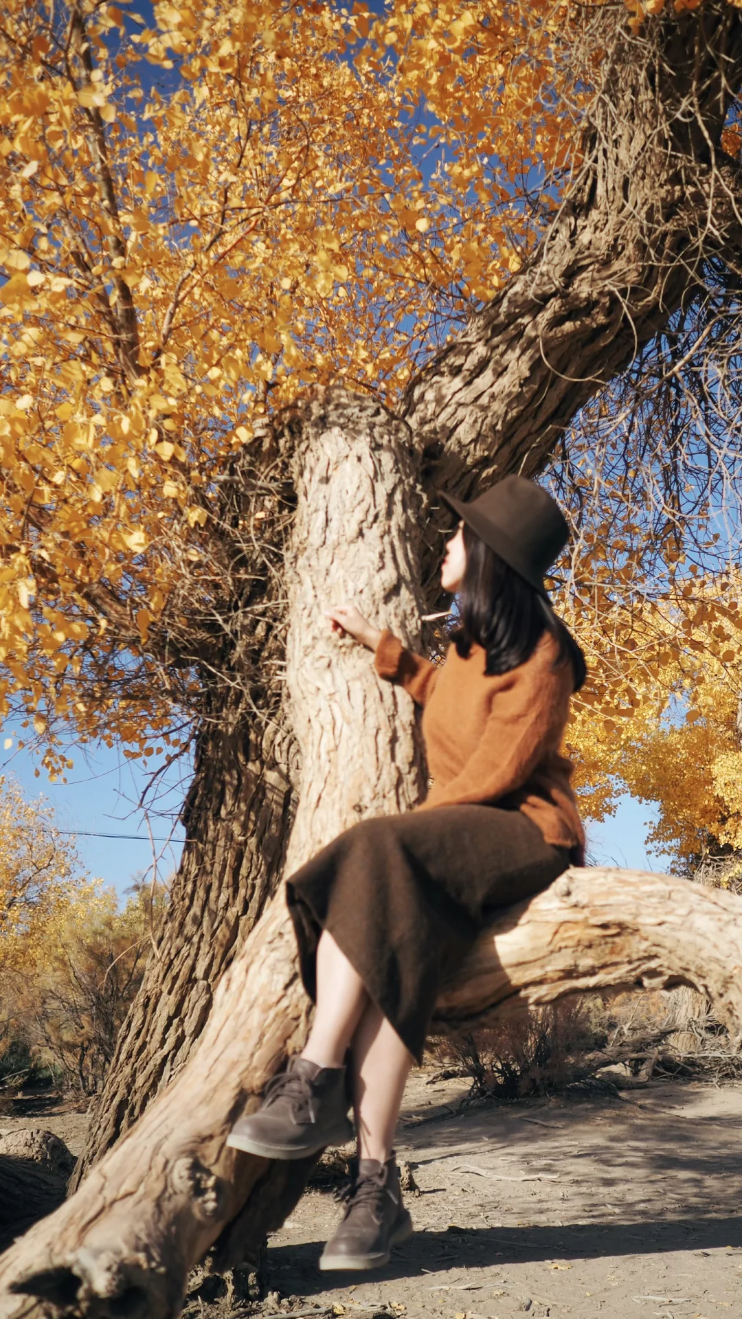 后来我逢人便说：额济纳旗的秋有多美（全屏）