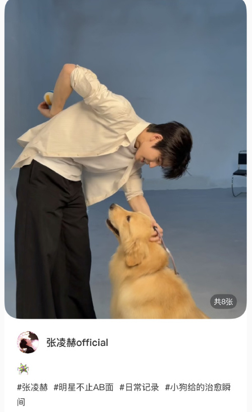 张凌赫训狗张凌赫逗狗张凌赫逗狗 ！！！两只小狗狗🐶 