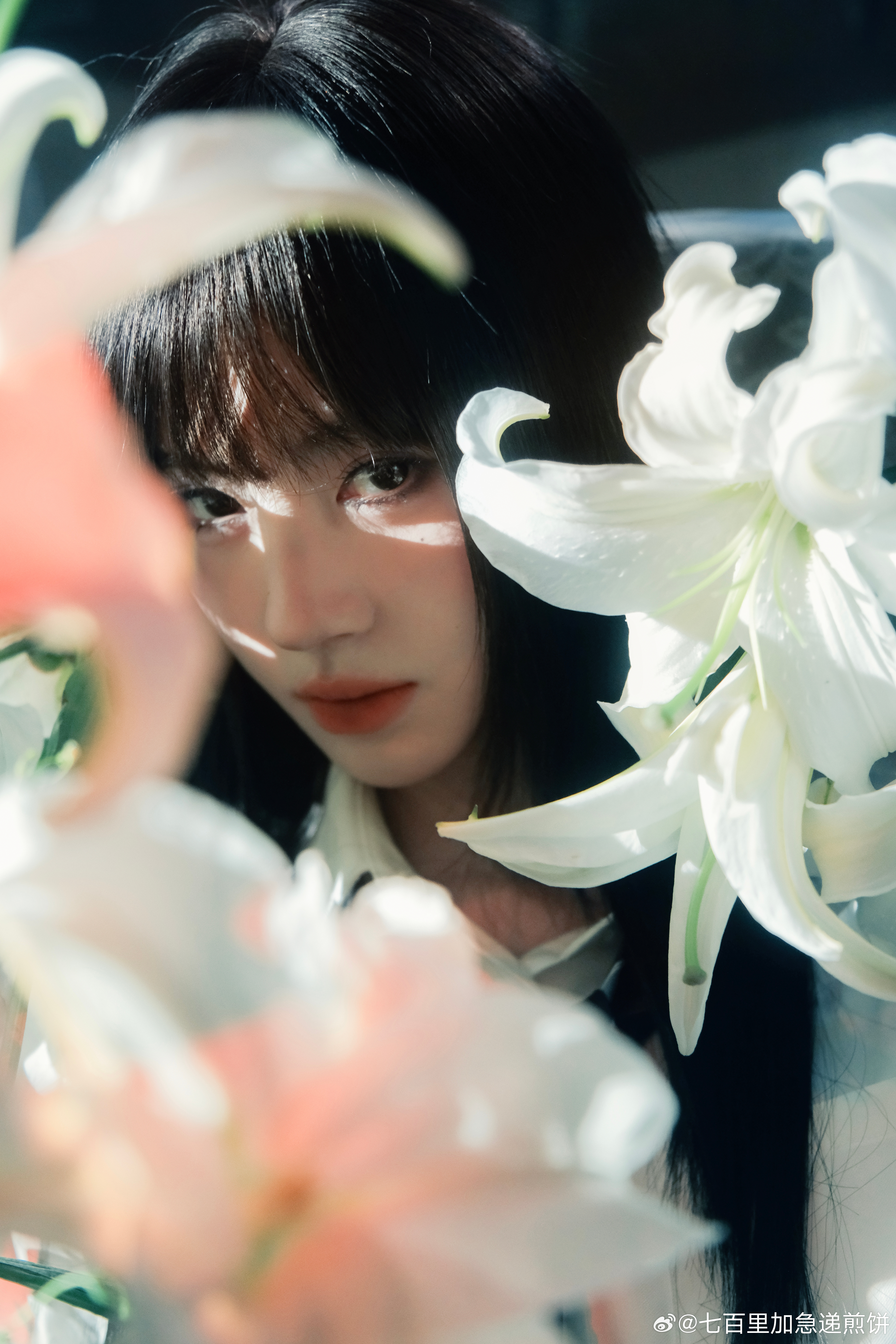 鞠婧祎的森系少女感，好看 ​​​