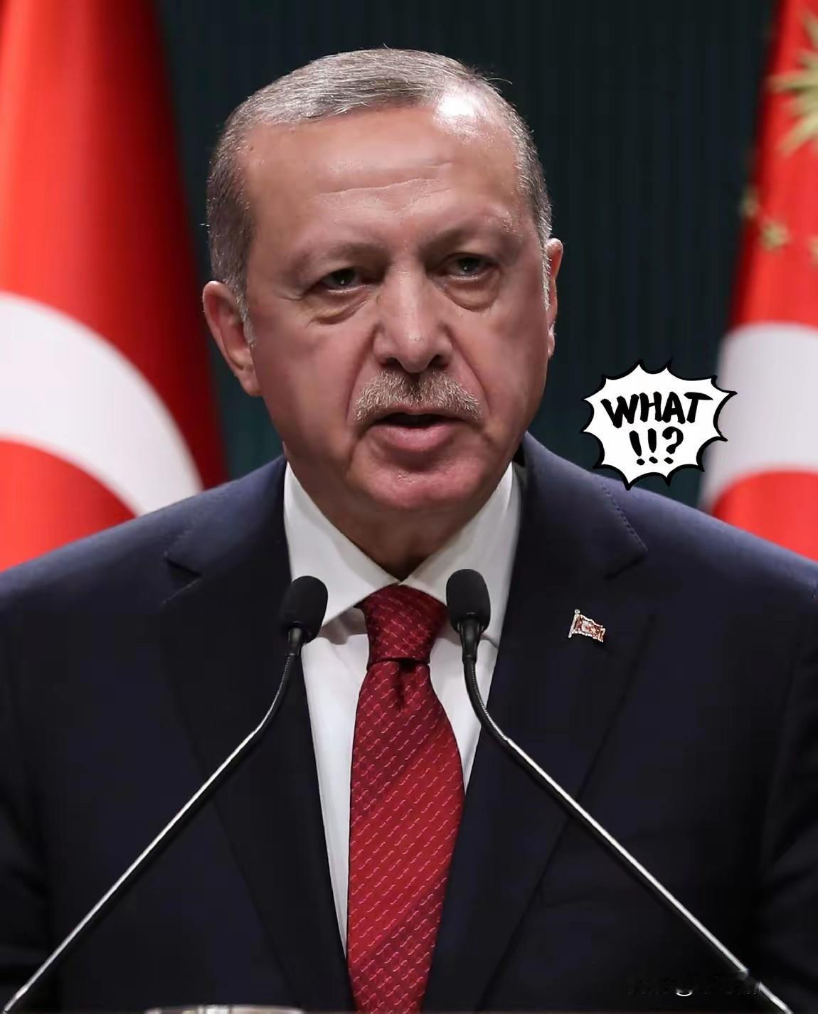 快讯！
土耳其传来来消息
​11月12日，土耳其国防部正式确认，11日在格鲁吉亚