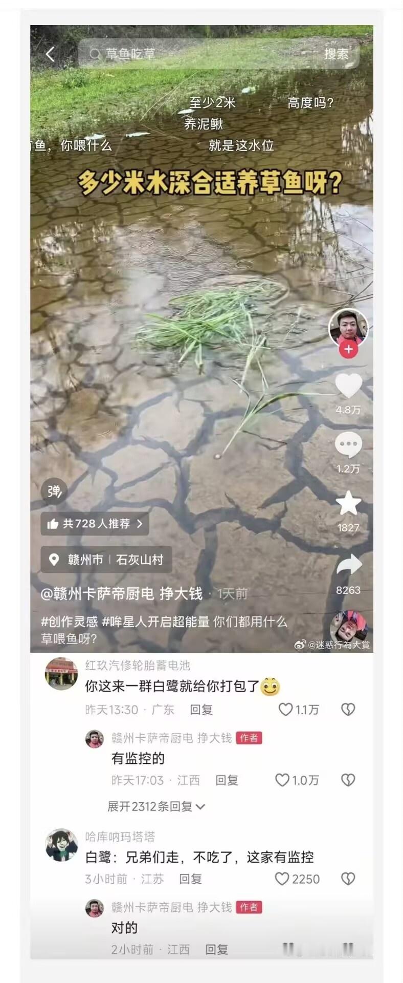 网页链接 播了 兄弟啊兄弟 