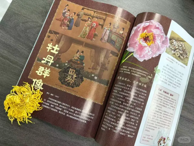 《博物》杂志中的国色芳华