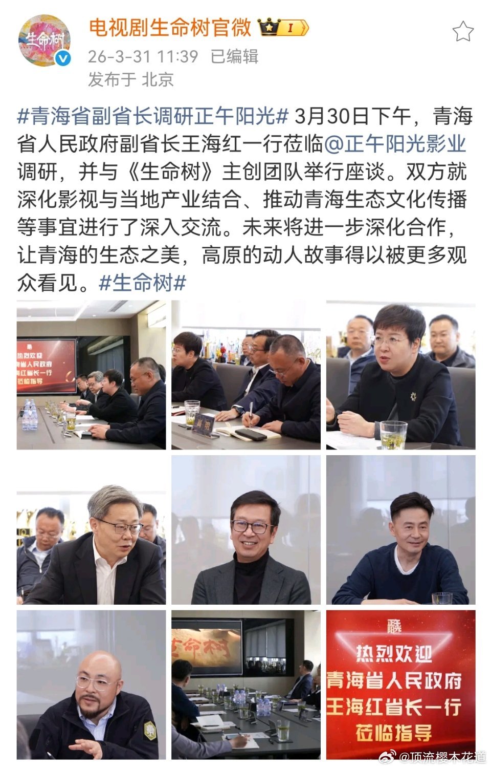 青海省副省长调研正午阳光生命树果然是有它的生态文明建设宣传使命的，这部剧我最大的