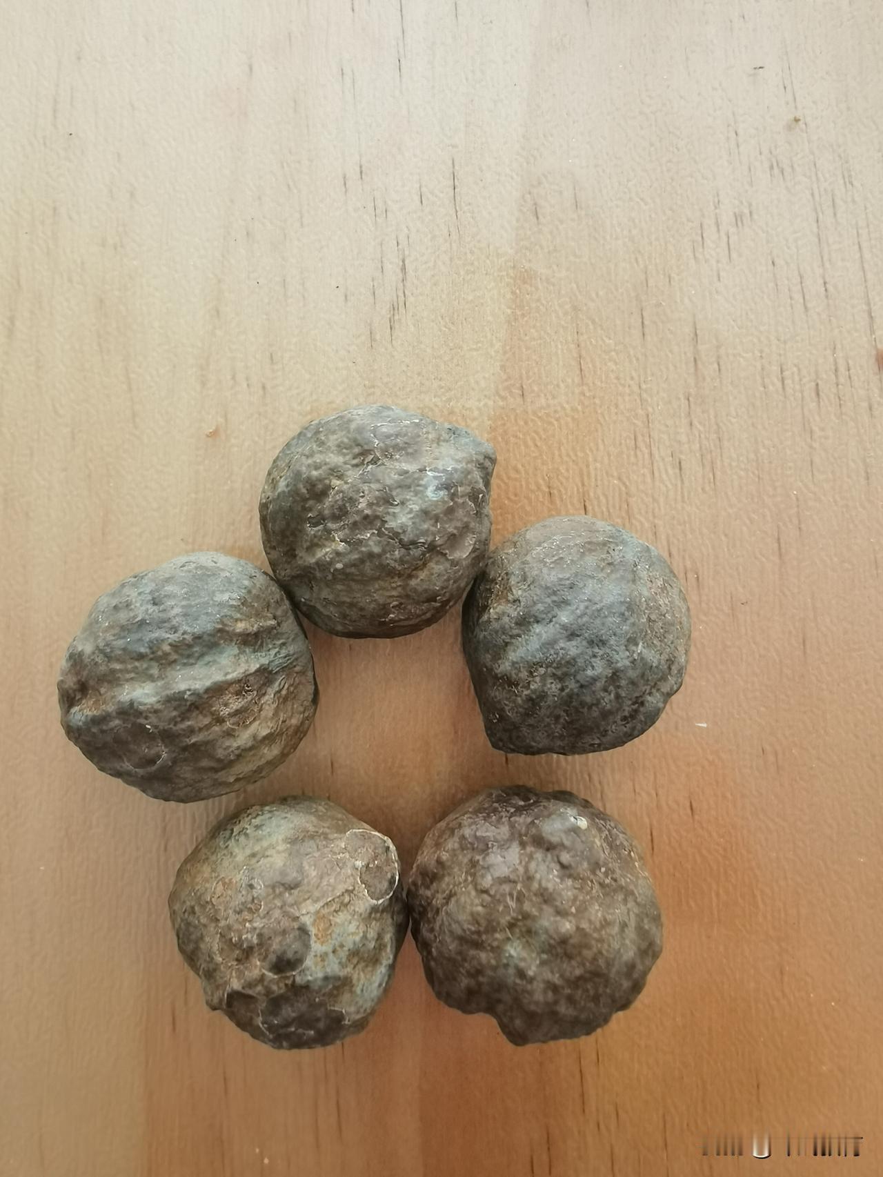 请问这是什么树的果实，看起来像铁疙瘩，非常的硬，里面有果仁？