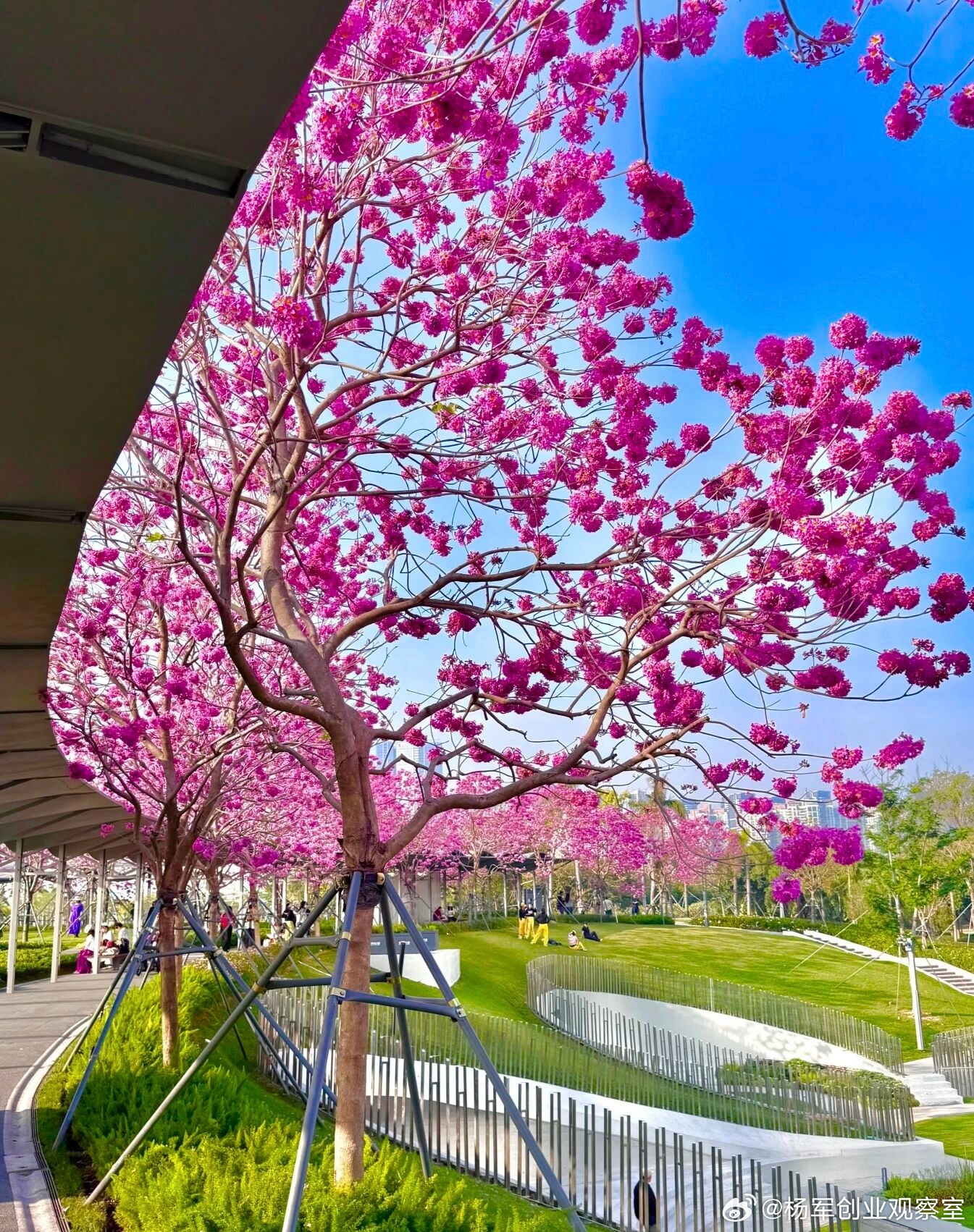 子公司可以采取合伙制，让员工持有子公司的股份主要针对各家子公司管理层及表现卓越的