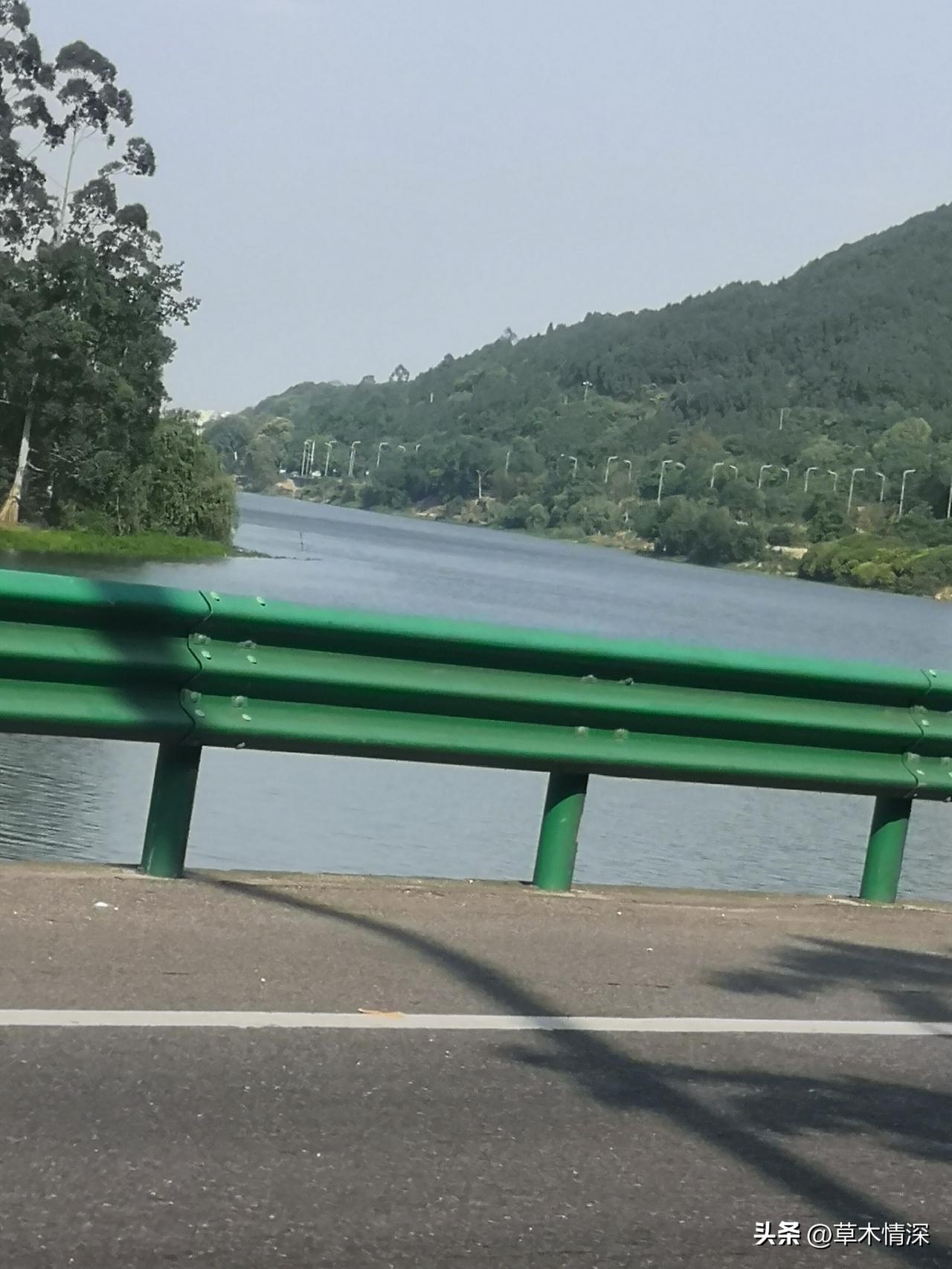 2026年6月16日，在成都市金堂县淮口镇举办了龙舟赛，从图片中可以看到，很多的