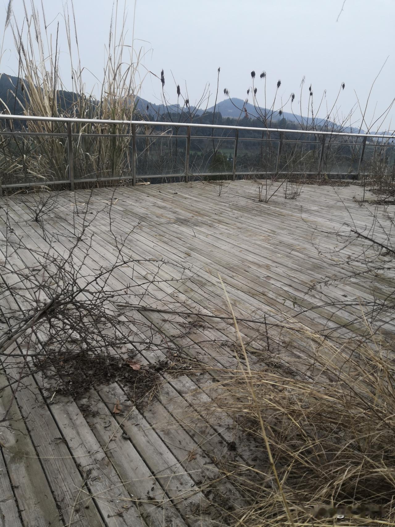 今年冬日的感觉，山顶上不同的是很多杂草，每年的阳春3月的时候，这里的桃花都是争先