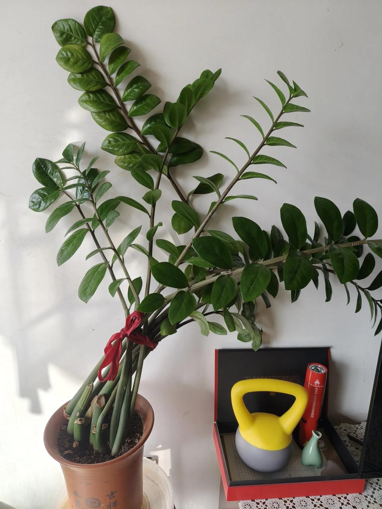 前几天个好姐妹问我，怎么看不到我发朋友圈，是不是把她拉黑了，当然，她是开玩笑这样