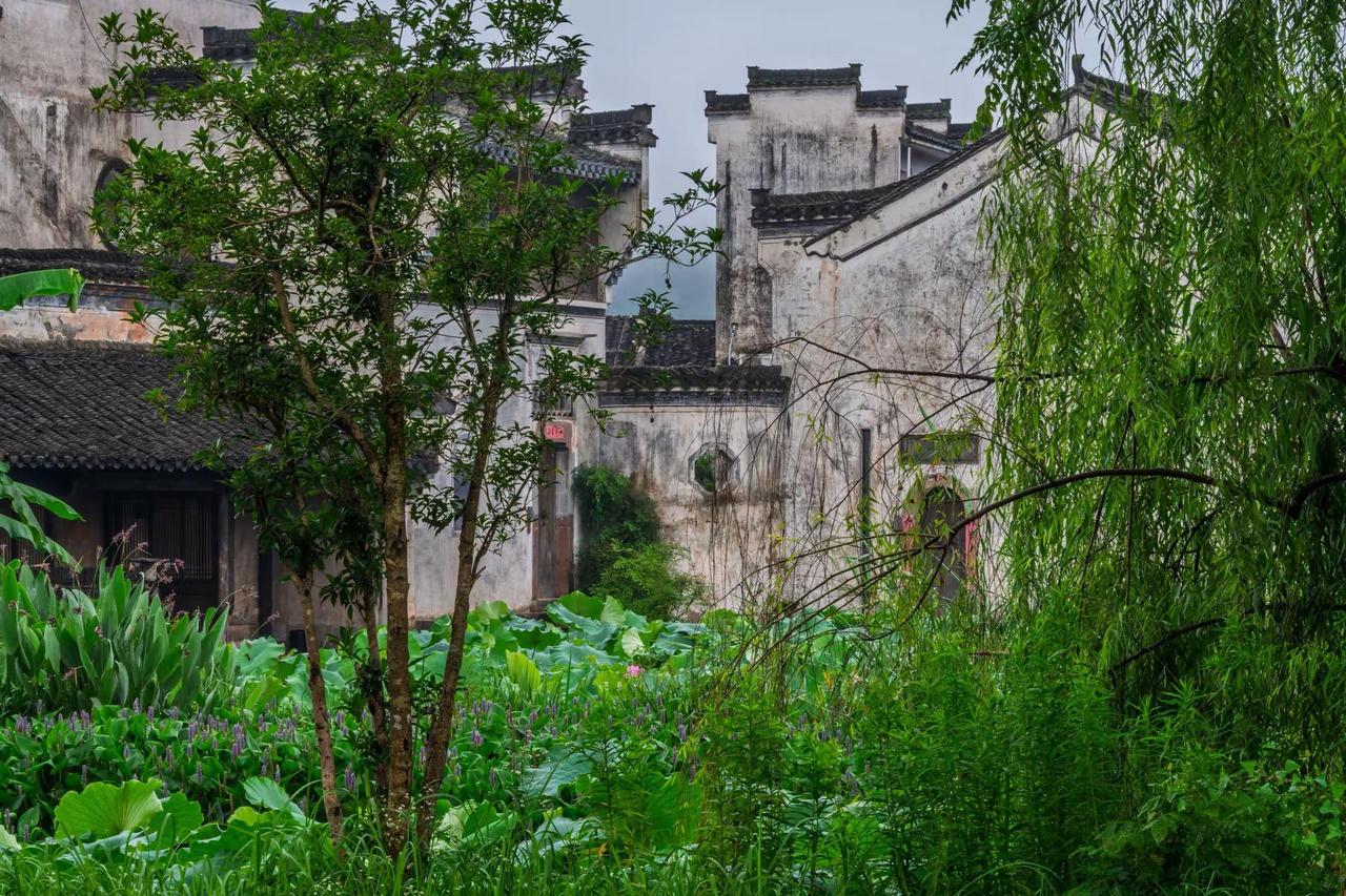 黄山呈坎八卦村。黄山呈坎八卦村徽派建筑美如画 古老的徽派建筑群 水墨宏村白墙黛瓦