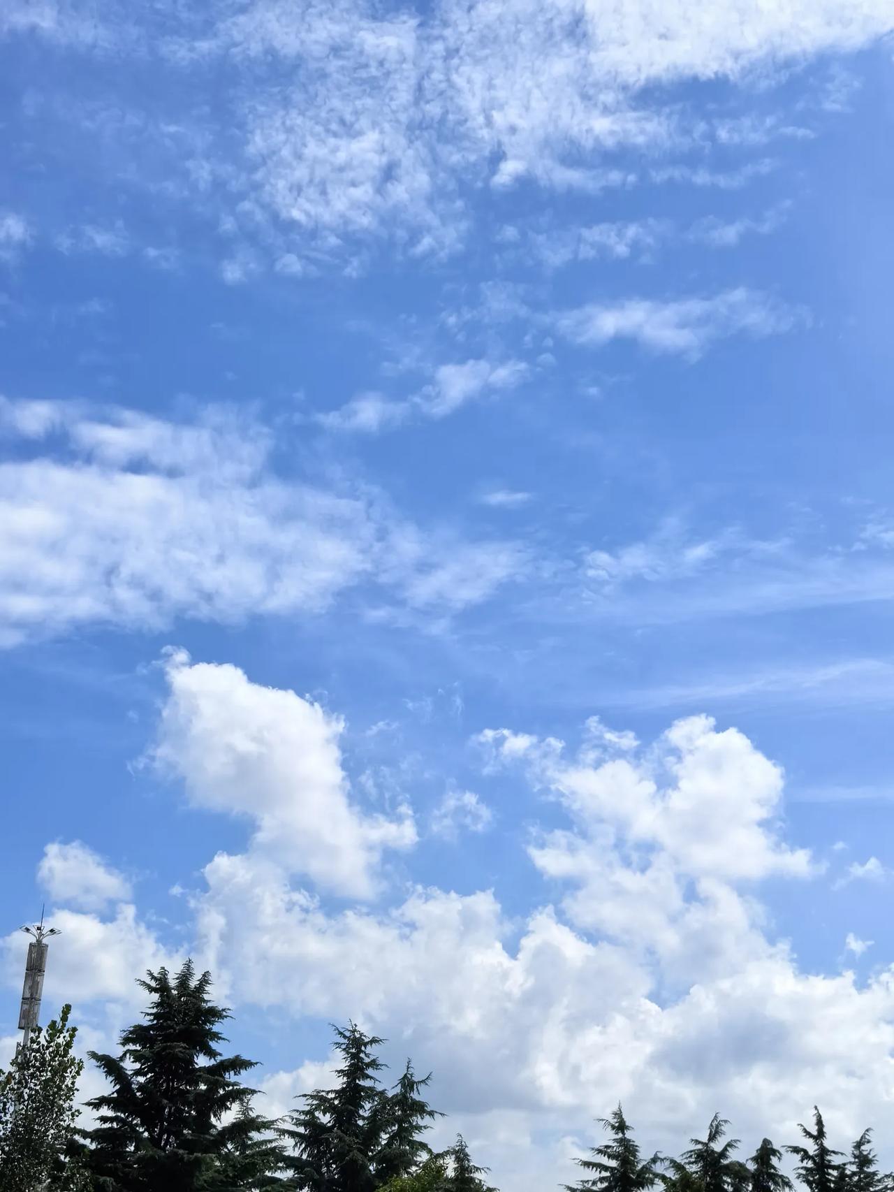 七零八零后的孩子，尤其是七零后的，小时候家里孩子多，我感觉老大都很懂事，从小帮着