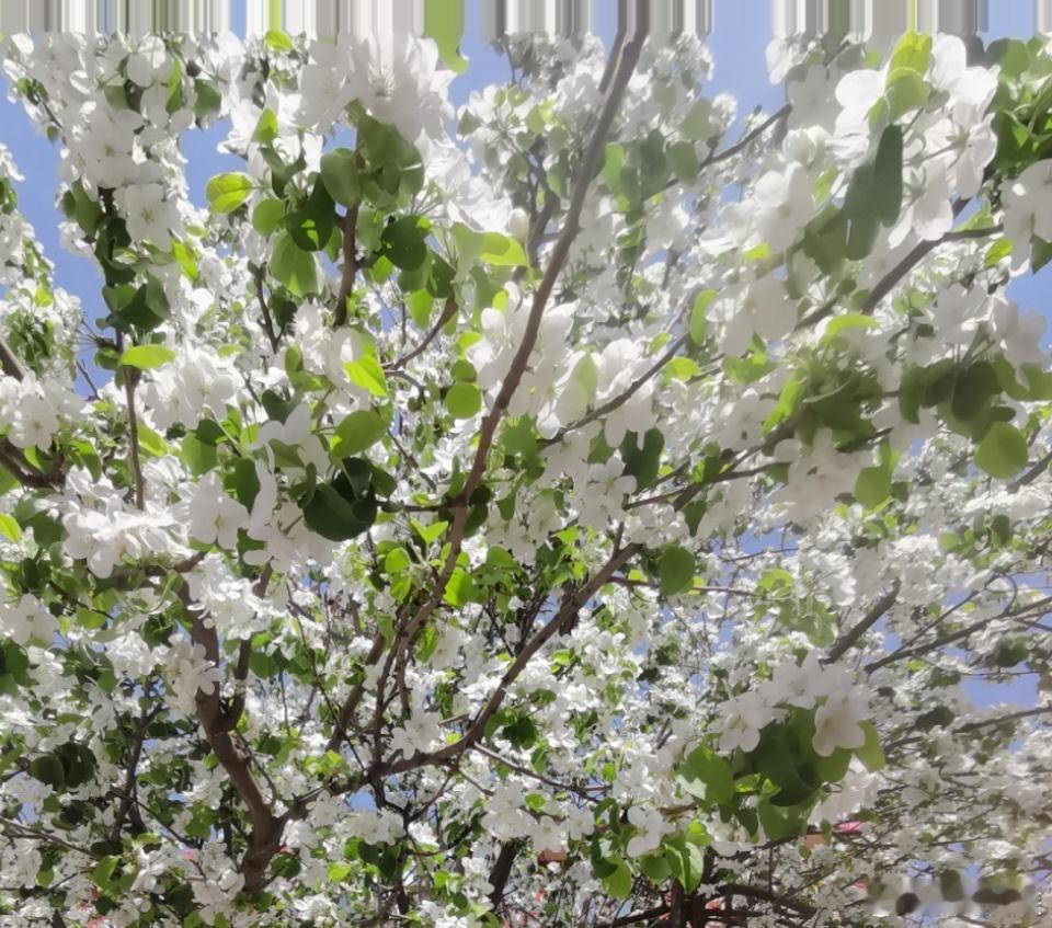 抽空就去海口看妈妈去，想想就开心！就是要当天去当天回[努力]生活手记 ​​​