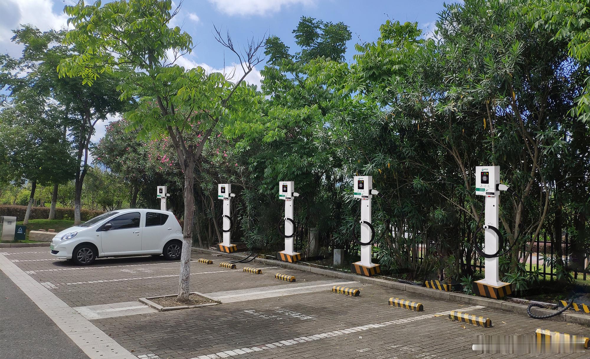 江西驴充充：赋能绿色出行新时代！在“双碳”目标的引领下，新能源浪潮席卷全球，电动