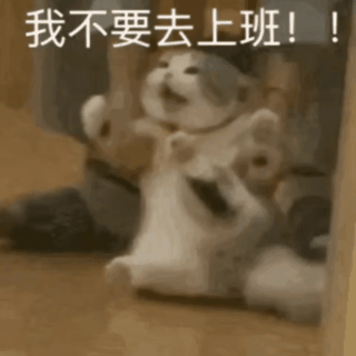 书卷一梦全台陆剧收视冠军好剧就是无限长尾！！好羡慕还没看过《书卷一梦》的人，我都