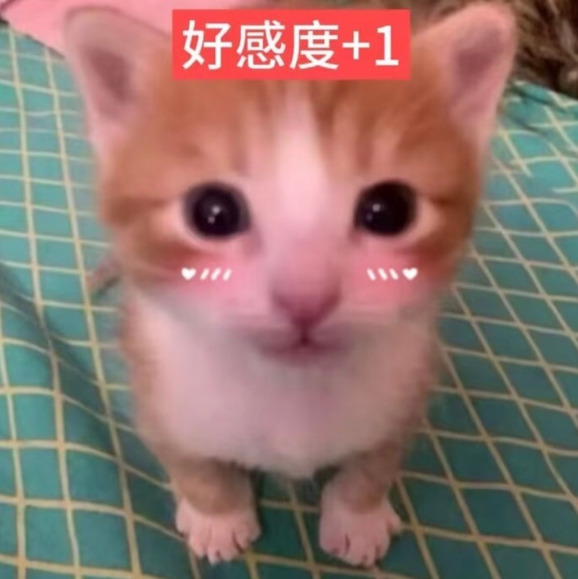 觉得宝宝和这张小猫好像吧！太萌了☺️ 