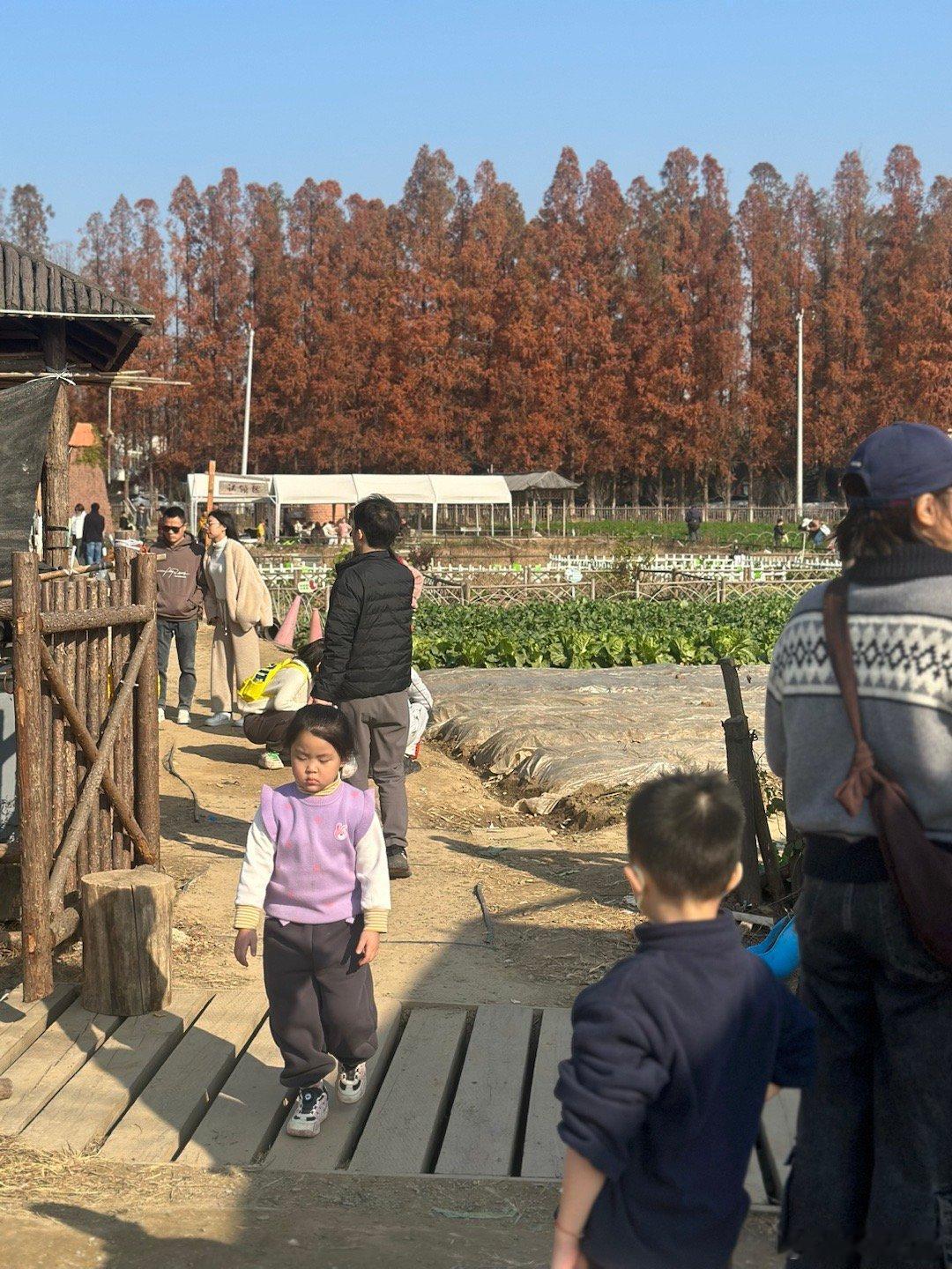 该不该让AI接管手机肯定不行哈每个人都有自己的隐私，这一下子虽然没有秘密了 