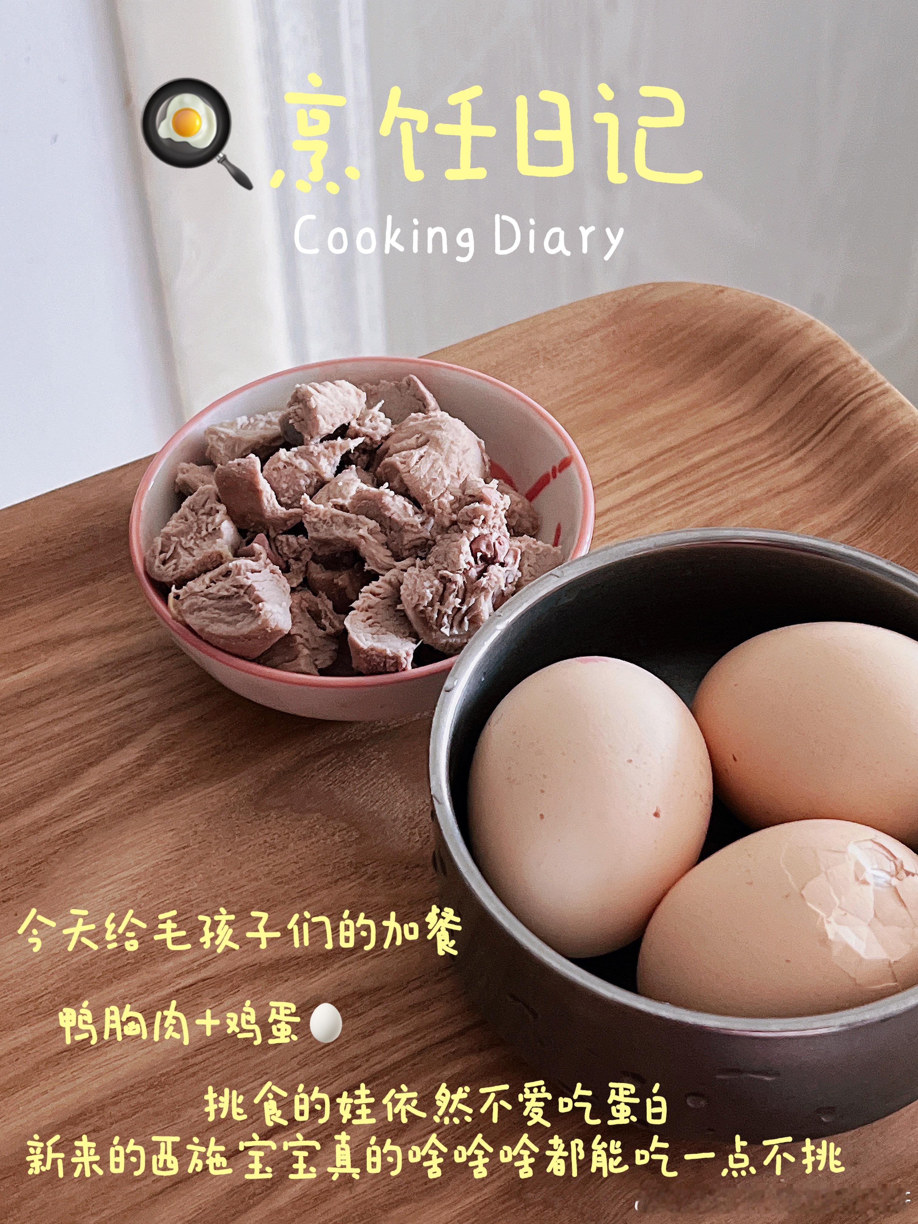 #贝贝酱和小巴乔的日常[超话]# 本来以为今天没事了谁知发热也是反反复复的精神很