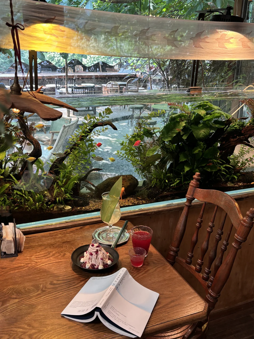 北京最新🐠🪼鱼缸梦核窗景咖啡 超绝夏日感