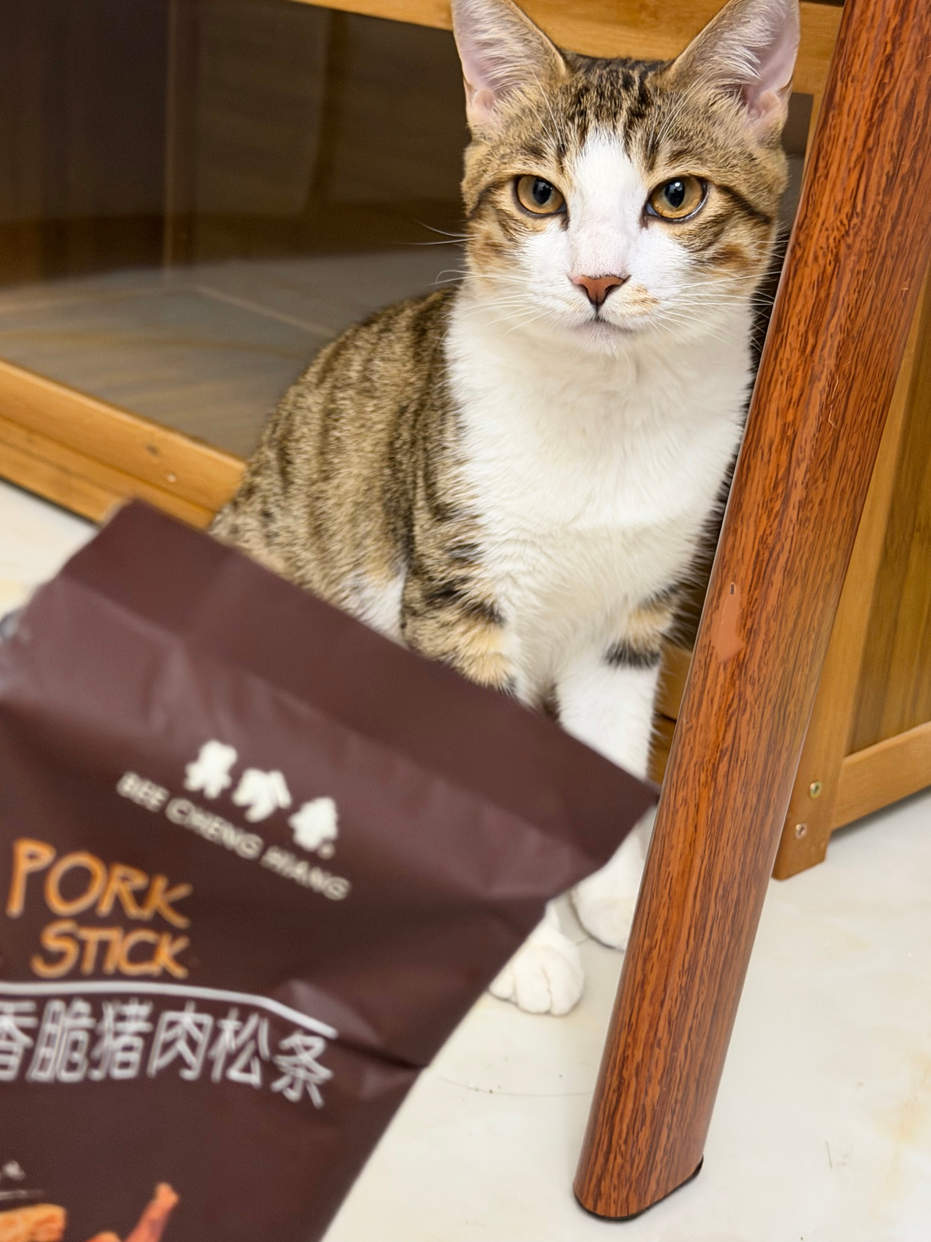 怎么办 叫叫趁我出去不小心把我们没吃完的零食给吃完了…忘记扔了就被它偷吃了啊啊啊