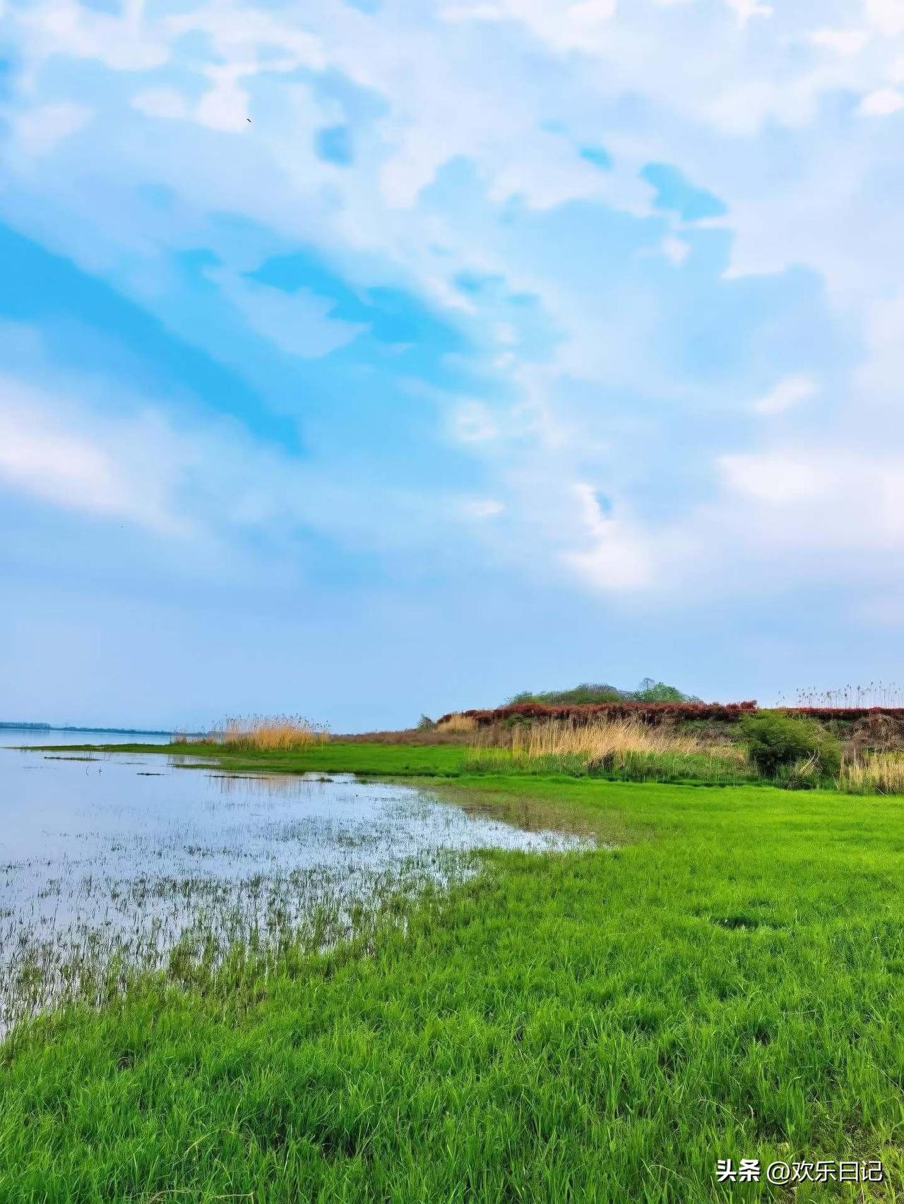昨天去超市买鸡蛋，碰到一件小事。

有个大姐在挑鸡蛋，一个一个拿起来对着灯看。旁